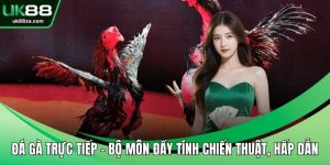 Đá Gà Trực Tiếp – Bộ Môn Đầy Tính Chiến Thuật, Hấp Dẫn 7 Đá gà trực tiếp