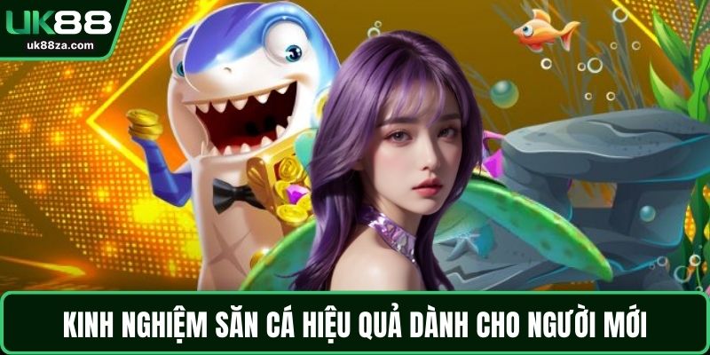 Bắn Cá Rùa Xanh – Trải Nghiệm Thú Vị Giữa Đại Dương 3 Kinh nghiệm săn cá hiệu quả dành cho người mới